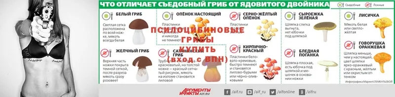 Купить Уфа МЕТАДОН  Экстази  ГАШ  Псилоцибиновые грибы  Конопля  АМФЕТАМИН  А ПВП  Меф мяу мяу 